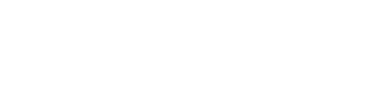 Government-wide Strategic Solutions logo