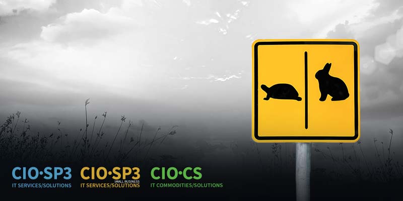 a picture of a turtle and rabbit road sign