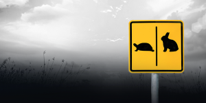 turtle and rabbit road sign